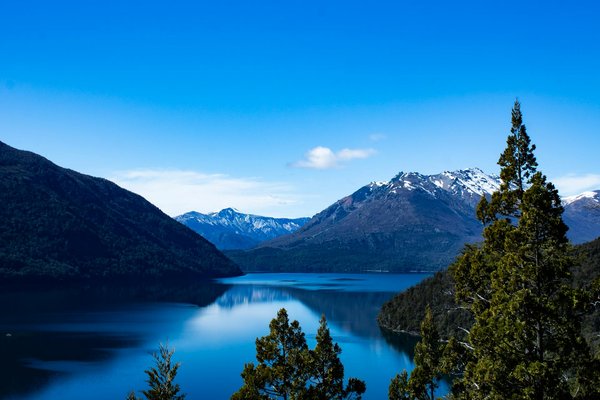 Comment découvrir les traditions pastorales des Alpes suisses : visites de fermes et dégustations ?